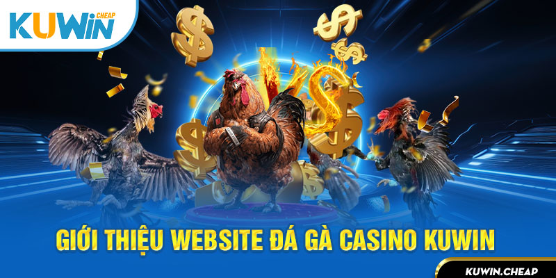 Đá gà casino - Địa chỉ cá cược uy tín được nhiều tổ chức công nhận