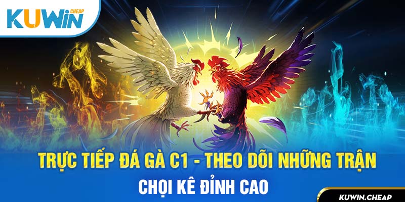 Trực tiếp đá gà C1 tại nhà cái KuWin